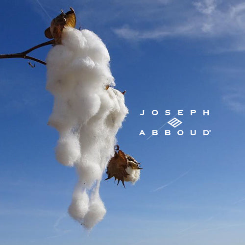 サステナブルへの挑戦 ―JOE COTTONが生まれるまで