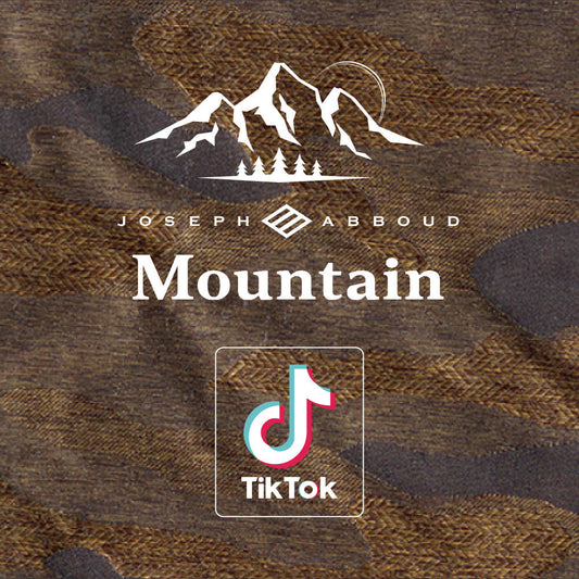 【MOUNTAIN】TikTokスタート